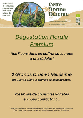 Dégustation Florale Premium - Cette Bonne Détente ! Le Chanvre par Excellence
