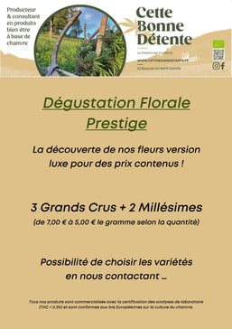 Dégustation Florale Prestige - Cette Bonne Détente ! Le Chanvre par Excellence