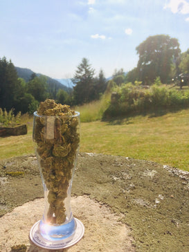 Panaché de Fleurettes - Cette Bonne Détente ! Le Chanvre par Excellence