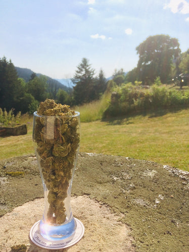 Panaché de Fleurettes - Cette Bonne Détente ! Le Chanvre par Excellence